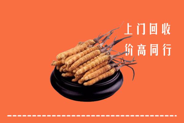高价求购：榆林回收散虫草
