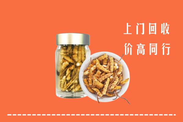 附近收购：榆林回收冬虫夏草